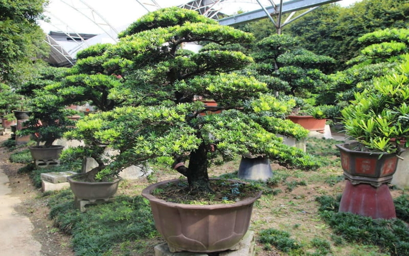 vận tải đường bộ và kho vận tại Bắc Ninh